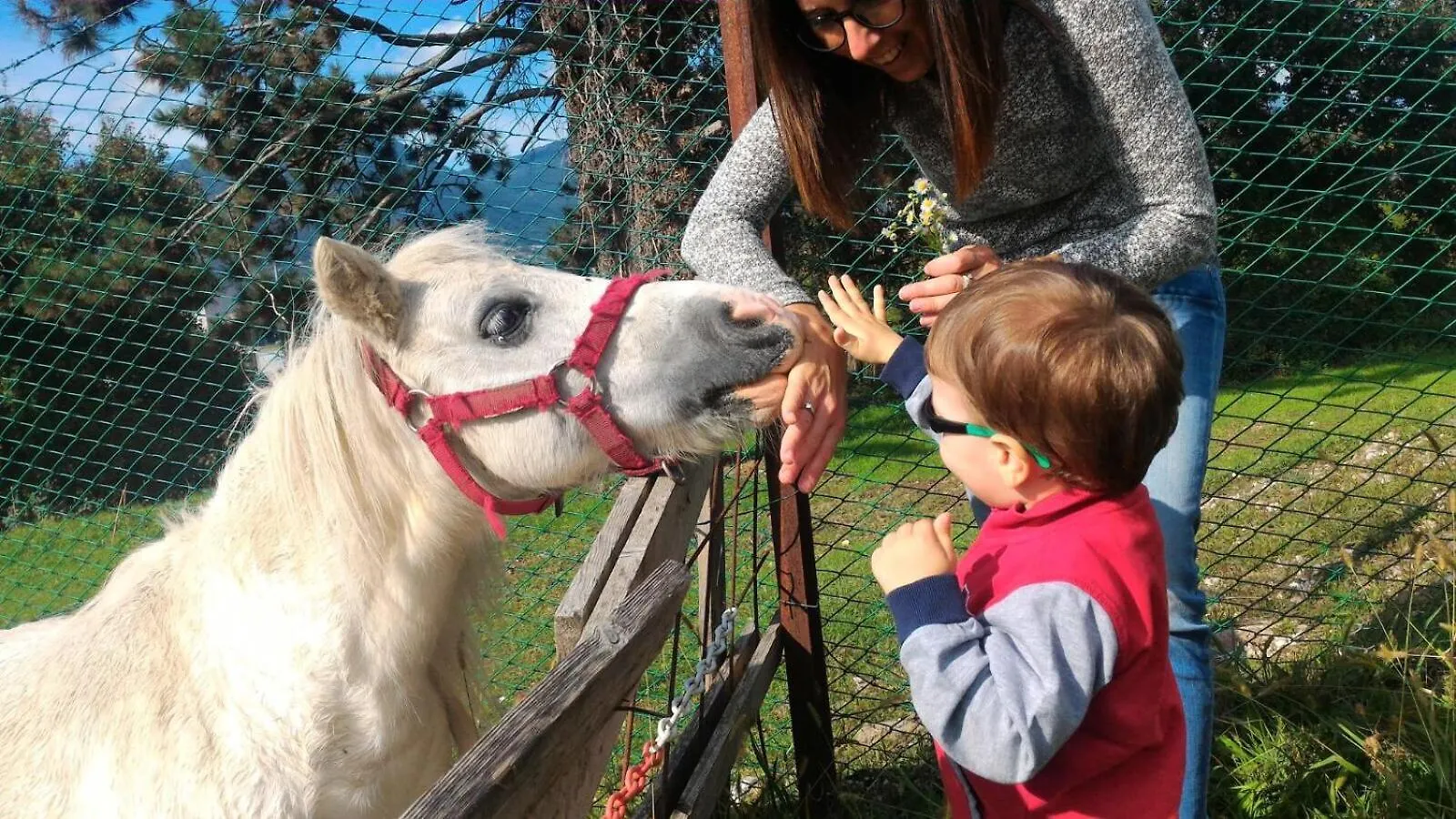 Farm stay Agriturismo Riondel Affi